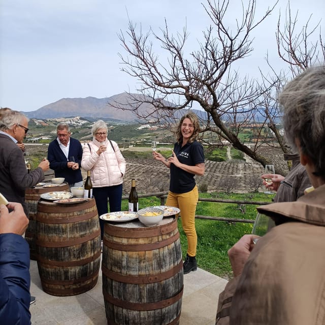 Manilva: Nilva Vineyard, Wine Tasting & Tapas Guided Tour - Who should book this Manilva wine tour?