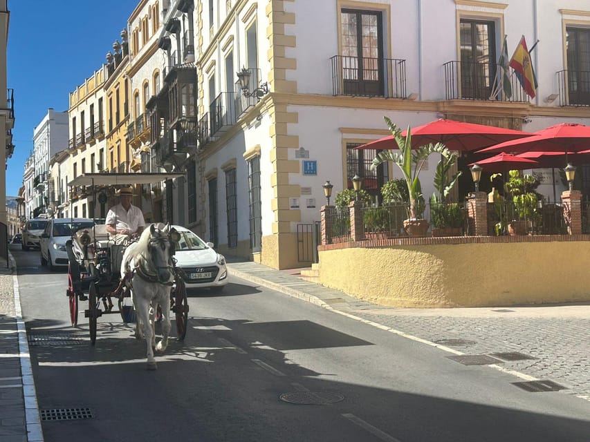 Marbella/Estep. Private VIP-Tour Ronda incl. Tapas & Drinks - Puente Nuevo and the Tajo gorge