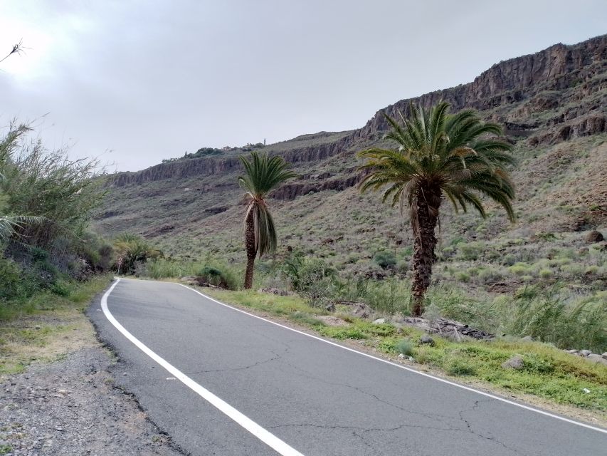 Maspalomas: Southern Coast E-Bike Tour Option Tapas Tasting - Key things to know before booking