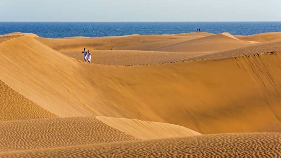Maspalomas: Southern Coast E-Bike Tour Option Tapas Tasting - Starting at Cita Shopping Center in Playa del Ingles