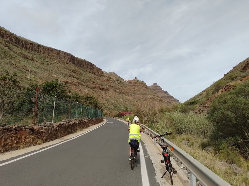 Maspalomas: Southern Coast E-Bike Tour Option Tapas Tasting - Banana plants and a glimpse of island agriculture