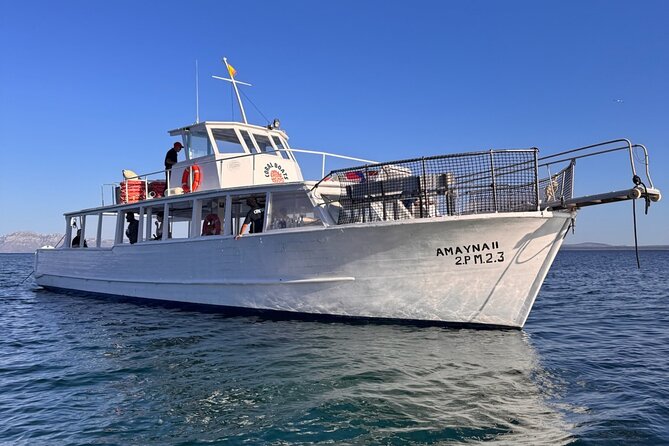 Morning Boat Trip in Alcudia with Swim Stop & Tapas - Who Will Enjoy This Morning Most?