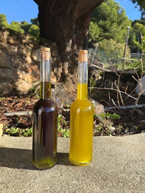 Near Malaga: Mijas Organic Vineyard, 5 Wines, 2 Oils & Tapas - Antonio’s hillside home above the Costa del Sol