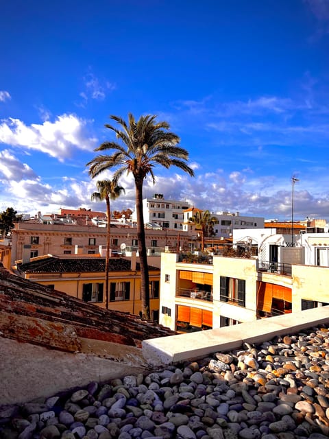 Palma authentically. Small group City tour with tapas - Palma tapas tour at a glance