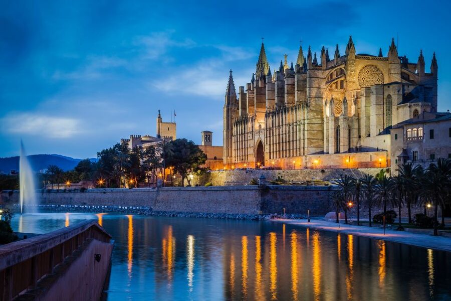 Palma: Culinary Tapas Tour of the Old Town - Who will enjoy this Palma evening
