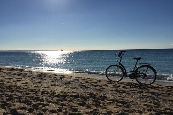 Palma de Mallorca 3-Hour Highlights and Tapas Tasting Bike Tour - La Seu, Palma’s great landmark