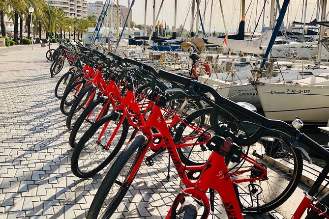 Palma de Mallorca Bike Tour with tapas - The optional tapas stop at Plaza España