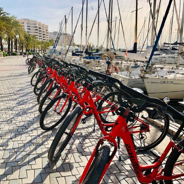 Palma de Mallorca: Guided Bicycle Tour with Tapas & a Drink - Starting beside Palma’s seafront