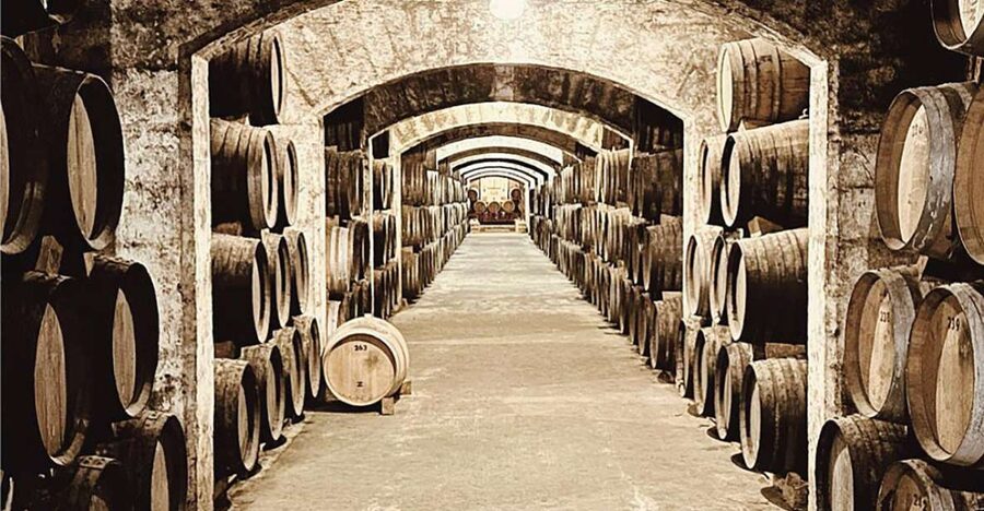 Palma: Distillery Tour with 6 Spirits and Tapas Tasting - Starting in the courtyard with a certified wine educator