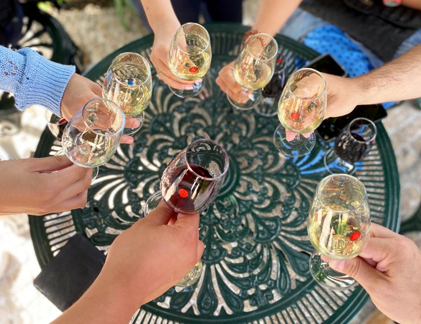 Porto: Wine Tasting with Tapas Walking Tour - Why this tour works well as a first day in Porto