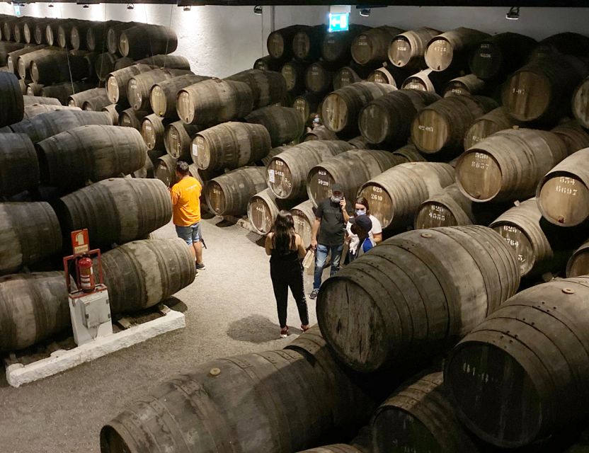 Porto: Wine Tasting with Tapas Walking Tour - The guides are a major part of the value