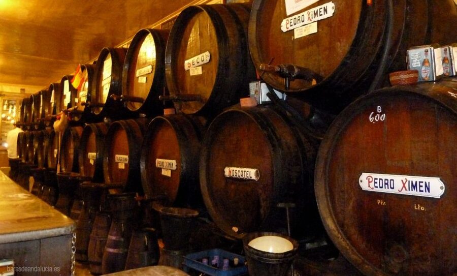 PREMIUM TAPAS TOUR: Paella, Market Tastings, and Winery - Timing, meeting details, and practical advice