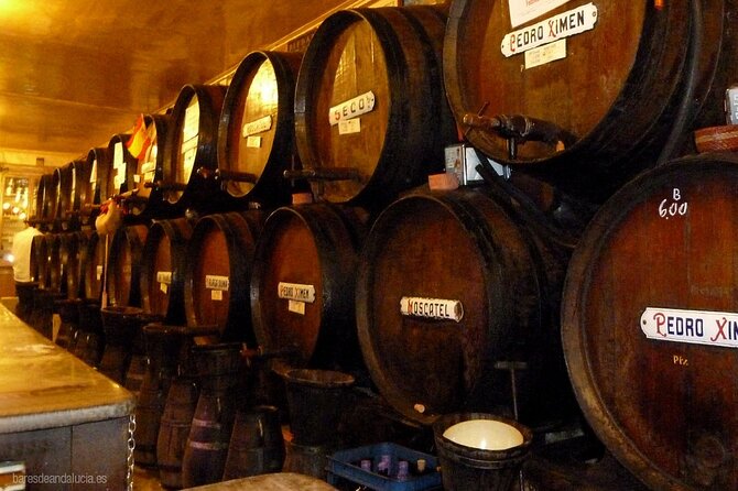 PREMIUM TAPAS TOUR: Tapas, Paella and Winery - Why this Málaga food tour works best on your first evening