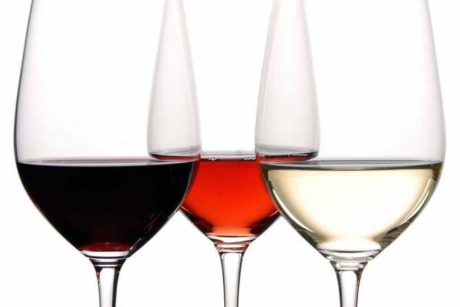 PREMIUM TAPAS TOUR: Tapas, Paella and Winery - What the $90.12 price really covers
