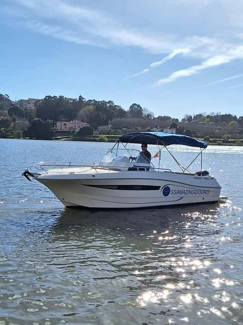 Private Boat Tour in Porto with Portuguese Tapas Option - Marina do Freixo is the starting point