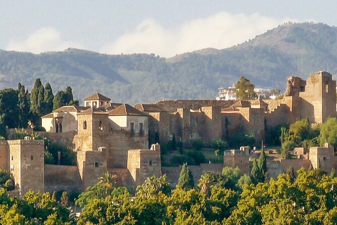 Private Malaga City Center Walking Tour with Tapas Food Tastings - Alcazabilla Street and Picasso’s Birthplace
