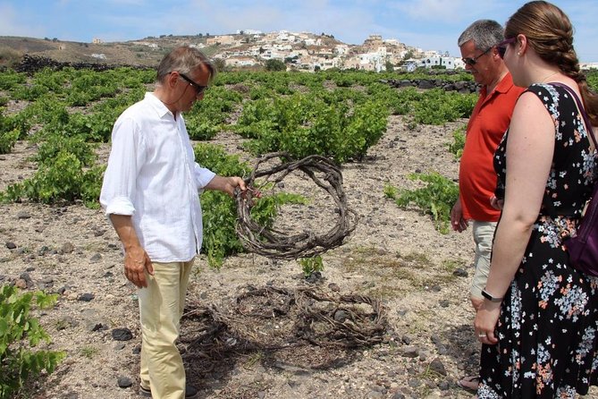 Private Santorini Sunset Wine Tour with Tastings and Tapas - Why Santorini makes such an unusual wine region