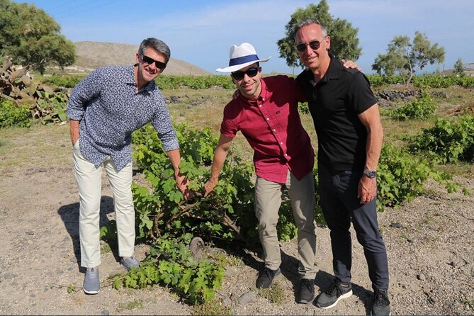 Private Santorini Sunset Wine Tour with Tastings and Tapas - Who will enjoy this tour most?