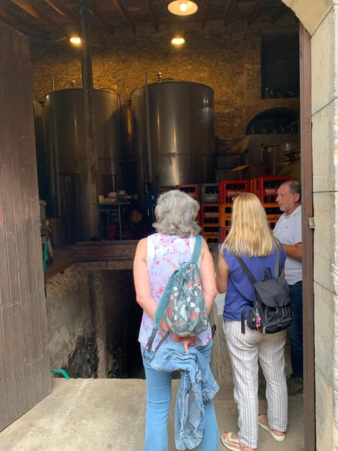 Private tour: Wine and tapas, experience real Mallorca - Walking through the estate before the tasting