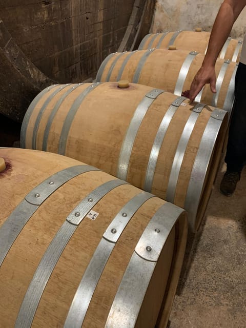 Private tour: Wine and tapas, experience real Mallorca - An old estate with a four-generation story