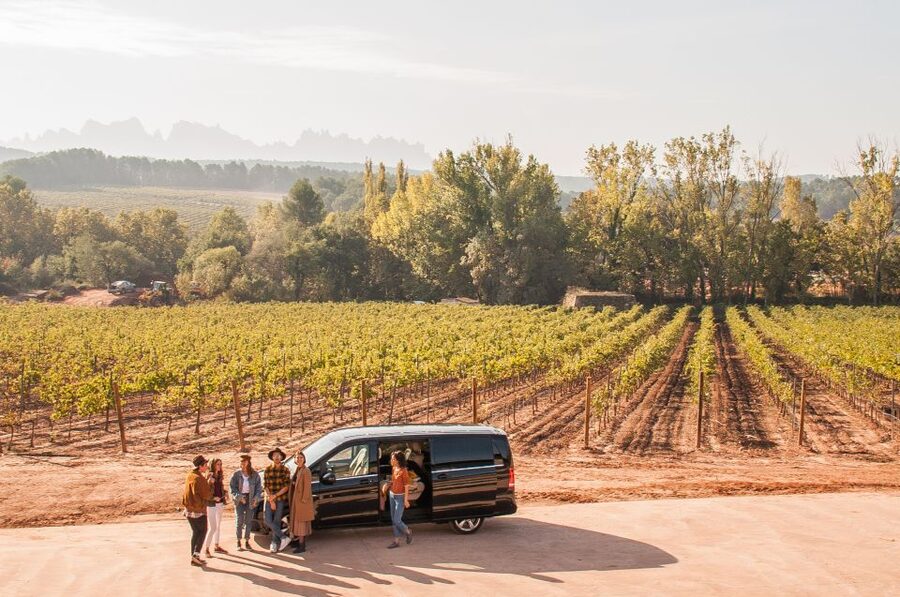 Private Wine, Tapas & Cava Experience from Barcelona - The day at a glance