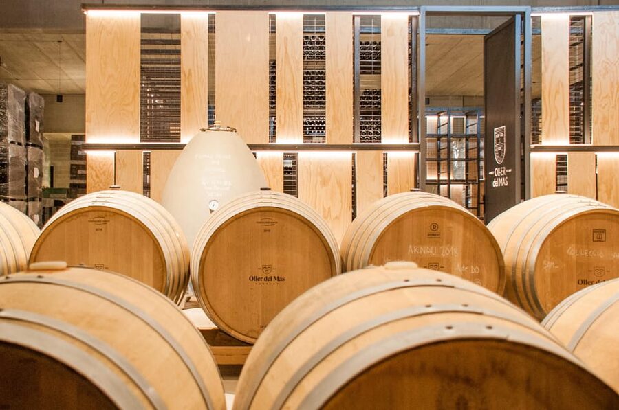 Private Wine, Tapas & Cava Experience from Barcelona - Oller del Mas, a castle with 36 generations behind it