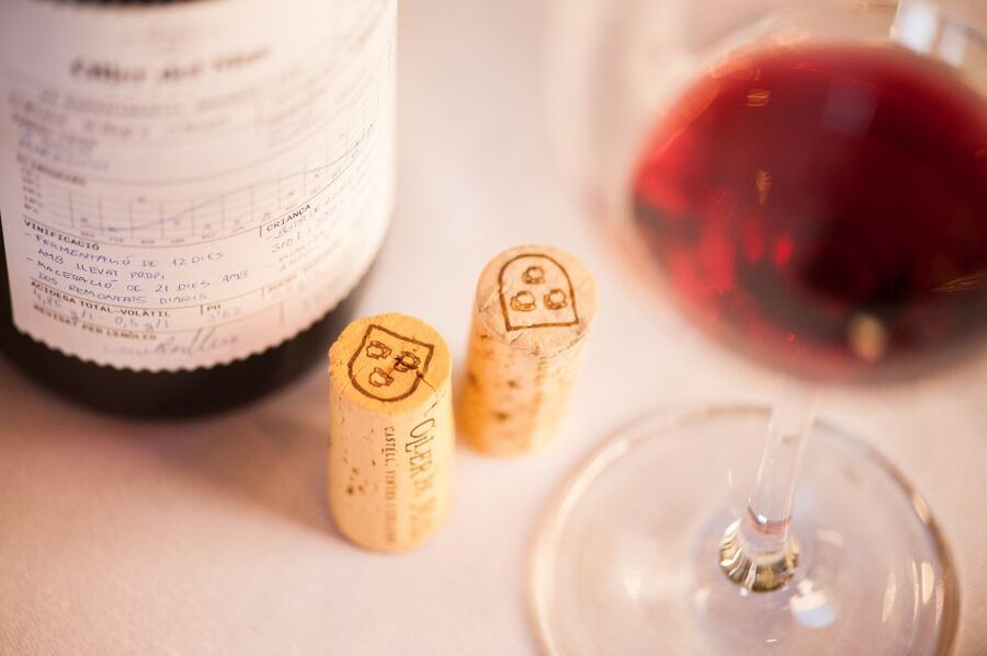 Private Wine, Tapas & Cava Experience from Barcelona - What the wine tasting is really like