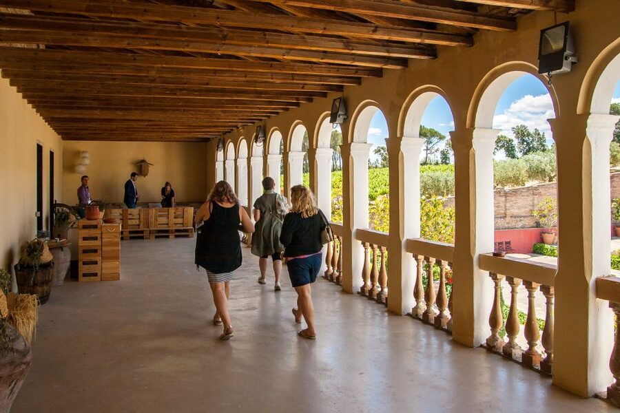 Private Wine, Tapas & Cava Experience from Barcelona - The tapas lunch and the pace of the day