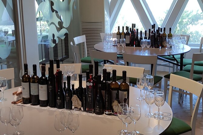 Private Wine Tour in 3 Wineries with 12 Wine Tastings and Tapas - Timing, pace, and who should book