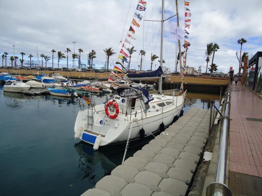 Puerto Rico: Sailing excursion with swim, drinks and tapas. - Swimming and snorkeling in clear water