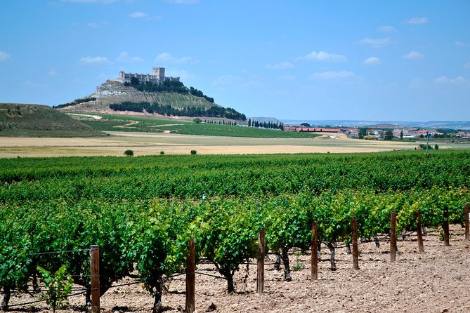 Ribera del Duero Small Group Tour: Tapas & Wine Tasting - What makes this Ribera del Duero day special