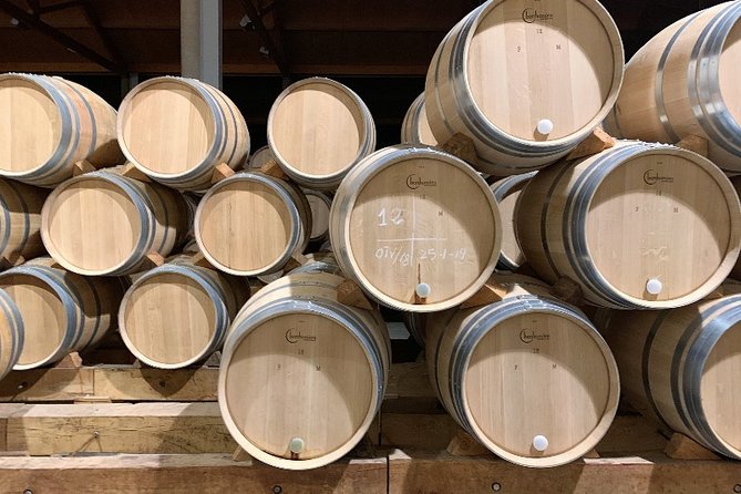 Ribera del Duero Small Group Tour: Tapas & Wine Tasting - A small group makes the minivan worthwhile