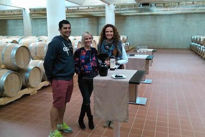 Ribera del Duero Small Group Tour: Tapas & Wine Tasting - The guides are a major part of the experience
