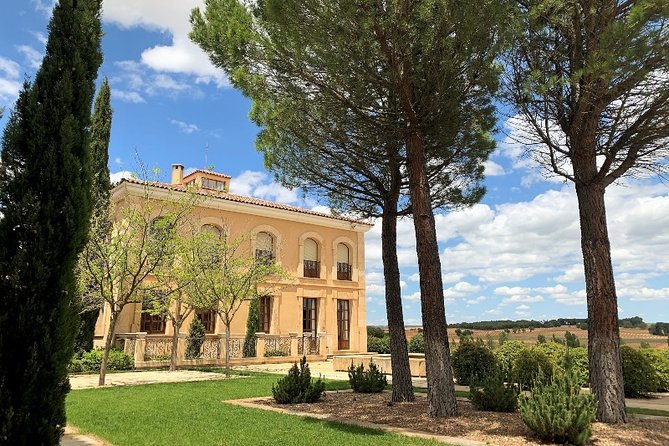 Ribera del Duero Small Group Tour: Tapas & Wine Tasting - What the day feels like in practice