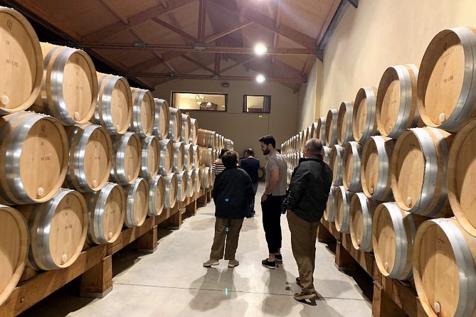 Ribera del Duero Small Group Tour: Tapas & Wine Tasting - Four wineries, with the lineup changing by day