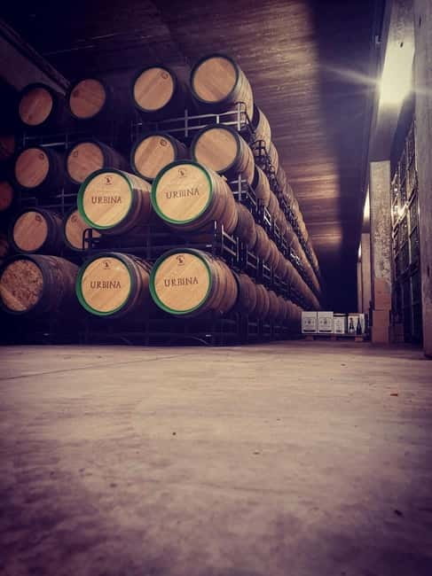 Rioja Wine Tour: 3 Wineries & Pintxos Lunch - Key points at a glance