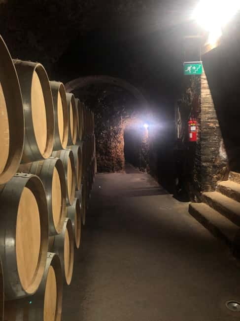 Rioja Wine Tour: 3 Wineries & Pintxos Lunch - The final winery in Rioja Alavesa