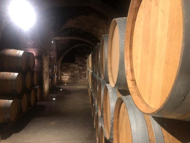 Rioja Wine Tour: 3 Wineries & Pintxos Lunch - Starting in Logroño and heading toward Laguardia