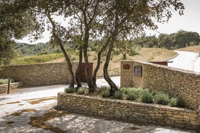 Ronda Private Wine Tour and Tapas from Marbella - Is $473.05 per person fair value?