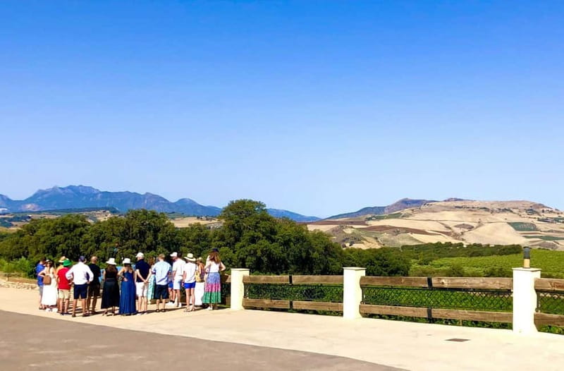 Ronda: Winery Tour with Wine Tasting and Tapas - Arriving at the Family-Run Vineyard