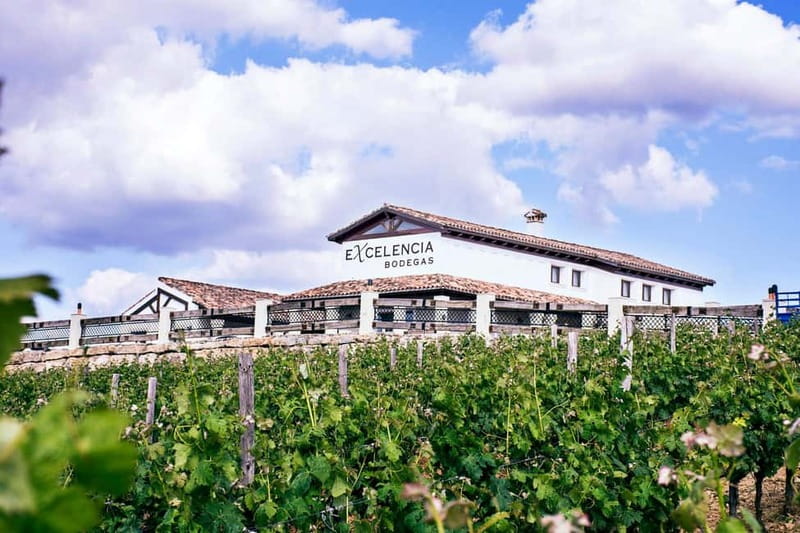 Ronda: Winery Tour with Wine Tasting and Tapas - What Makes the Hosting Memorable