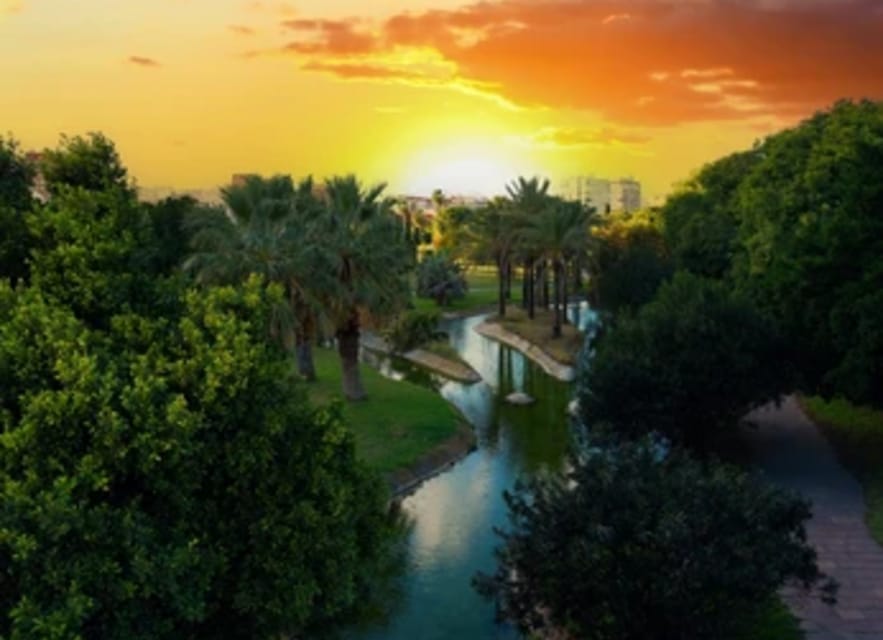Ruzafa Food & Wine Tour: Tapas, Drinks & Local Secrets - Who will get the most from this experience