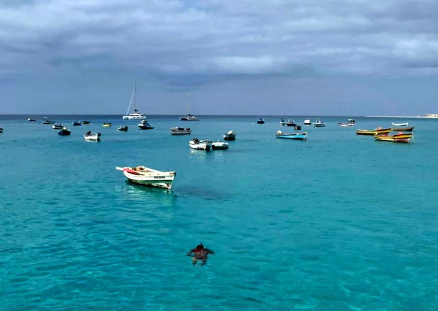 Sal island: Santa Maria city tour, street art and tapas - Starting with hotel pickup from Sal’s main resort areas