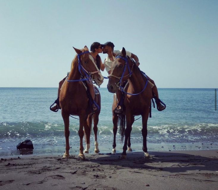 Santorini Fun day: Horseriding- Wine Tasting - Tapas - Pickup and the practical start
