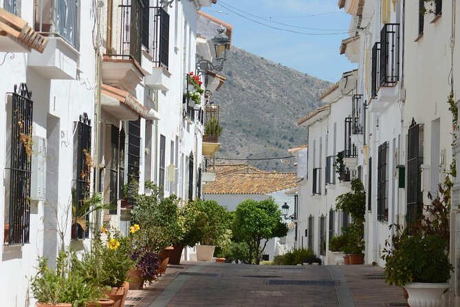 Self Guided Wine and Tapas Walking Tour - Why a self-guided food walk works well in Mijas