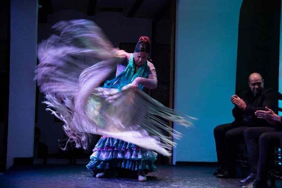 Seville: Tapas Dinner and Flamenco Show - Is $136 a fair price?