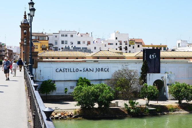 Sevillian tapas tasting on a bicycle (3 bars-3 tapas-3 drinks) - Who will enjoy this Seville food tour most?