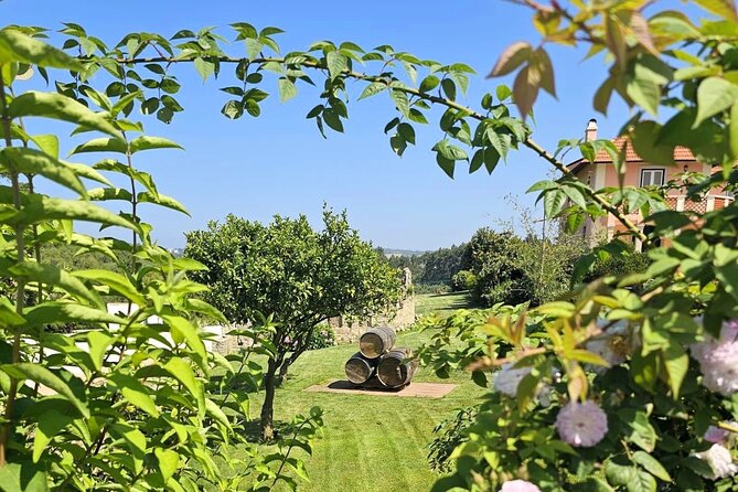 Sintra Food & Wine Experience – Tapas, Tastings & Culture - Colares and an old winemaking tradition