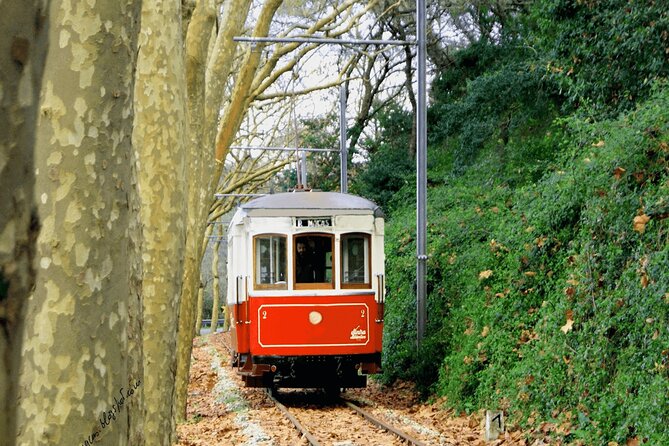Sintra Food & Wine Experience – Tapas, Tastings & Culture - São João das Lampas and the two-hour tasting
