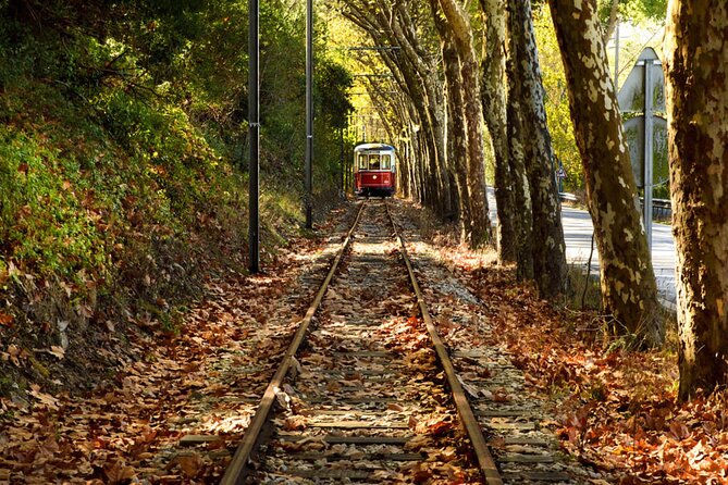 Sintra Food & Wine Experience – Tapas, Tastings & Culture - Guides, pace, and the private format